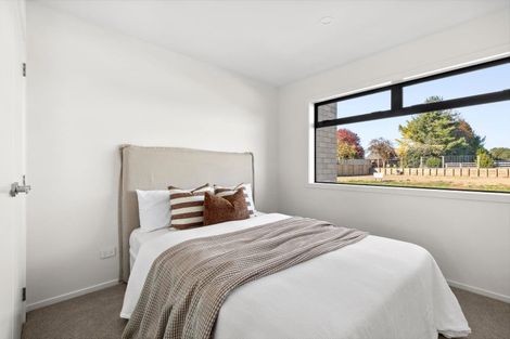 Photo of property in 14 Hauhake Terrace, Leamington, 3495