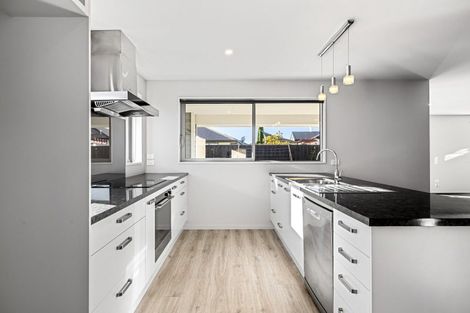 Photo of property in 19 Craig Thompson Drive, Lincoln, 7608