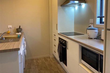 Photo of property in 188u4 Ulster Street, Whitiora, Hamilton, 3200