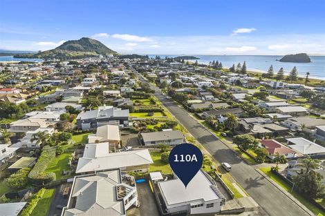 Photo of property in 110a Oceanview Road, Mount Maunganui, 3116