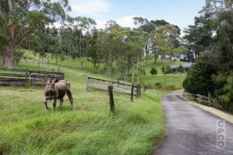 Photo of property in 589 Inland Road, Helensville, 0875
