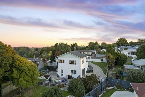 Photo of property in 13 County Place, Tirau, 3410