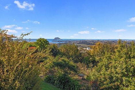 Photo of property in 5 Dawn View Place, Minden, Tauranga, 3176