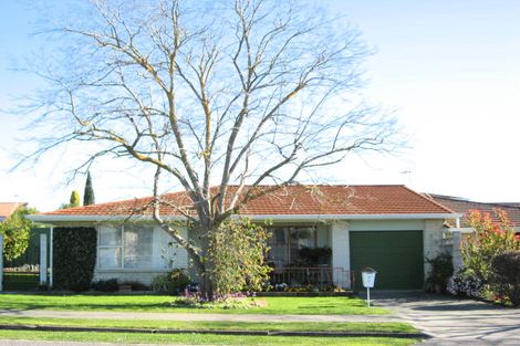 Photo of property in 2c Scannell Street, Havelock North, 4130
