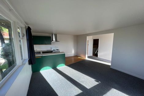 Photo of property in 45 Sutherland Road, Melrose, Wellington, 6023
