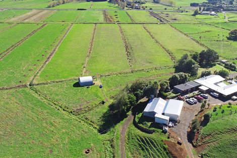 Photo of property in 173 Wily Road, Puni, Pukekohe, 2678