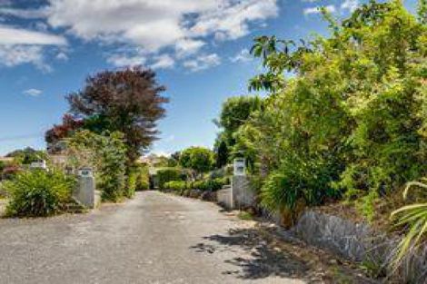 Photo of property in 29 Tanner Street, Havelock North, 4130