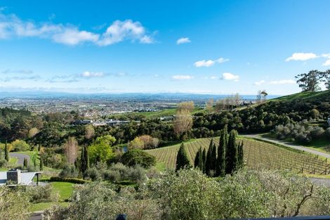 Photo of property in 169 Black Barn Road, Havelock North, 4294