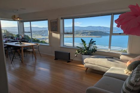 Photo of property in 49 Hornsey Road, Melrose, Wellington, 6023