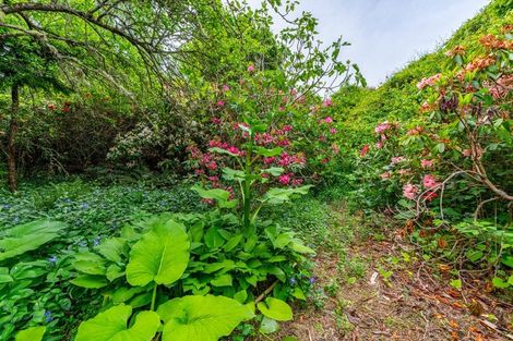 Photo of property in 166 Breakneck Road, Herbert, Oamaru, 9495