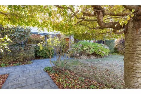 Photo of property in 290 Kensington Avenue, Rangiora, 7400