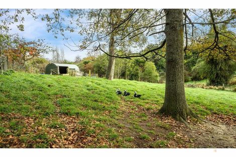 Photo of property in 80 Pye Road, Geraldine Downs, Geraldine, 7991