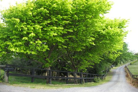 Photo of property in 403 Bremner Road, Karaka, Drury, 2578