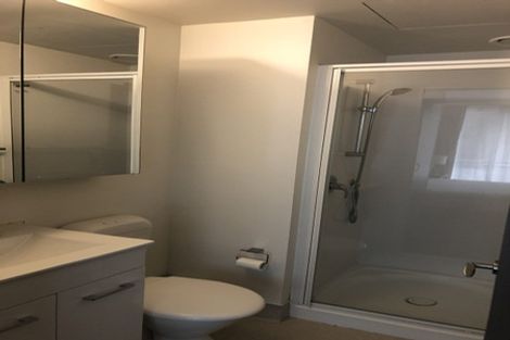 Photo of property in Dual Apartments, 108/142u Vivian Street, Te Aro, Wellington, 6011