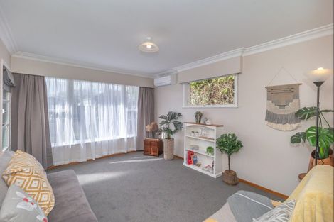 Photo of property in 43 Trafalgar Street, Levin, 5510