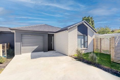 Photo of property in 87u2 Insoll Avenue, Enderley, Hamilton, 3214