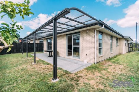 Photo of property in 10 Medland Place, Chartwell, Hamilton, 3210