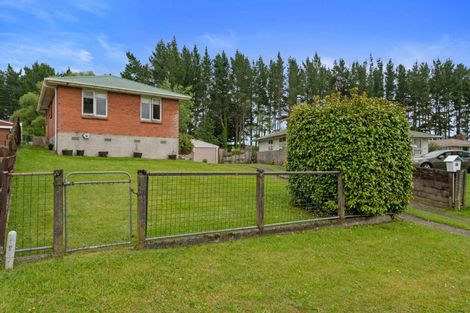 Photo of property in 20 Elizabeth Drive, Tokoroa, 3420