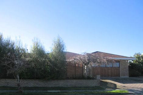 Photo of property in 48 Ellerslie Avenue, Chartwell, Hamilton, 3210