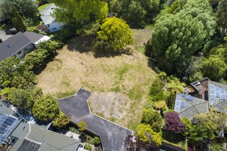 Photo of property in 165c Victoria Avenue, Hokowhitu, Palmerston North, 4410