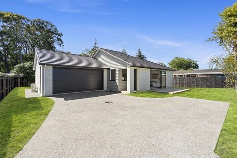 Photo of property in 5a Upper Kingsley Street, Leamington, Cambridge, 3432