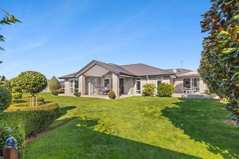 Photo of property in 11 Richardson Road, Matamata, 3400