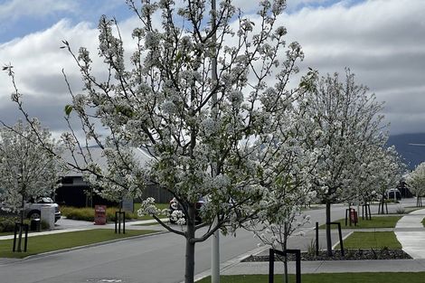 Photo of property in 26 Whitehall Drive, Springlands, 7201