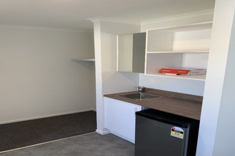 Photo of property in 11u4 Edgecumbe Street, Whitiora, Hamilton, 3200