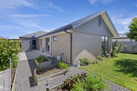 Photo of property in 38 Chert Street, Rolleston, 7614