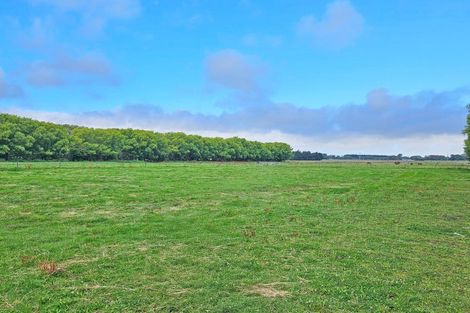 Photo of property in 78 Skewbridge Road, Flaxton, Kaiapoi, 7691