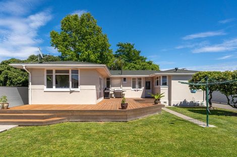 Photo of property in 19 Goodman Street, Blenheim, 7201