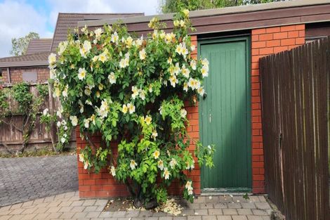 Photo of property in 29 Solway Avenue, Ilam, Christchurch, 8041