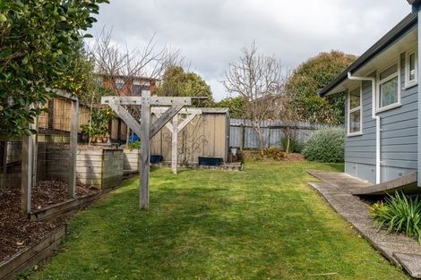 Photo of property in 26 Thomson Avenue, Dinsdale, Hamilton, 3204