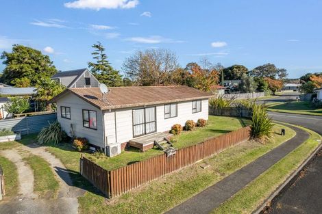 Photo of property in 2 Birch Place, Aramoho, Whanganui, 4500