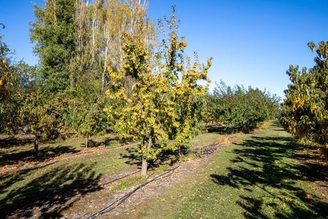 Photo of property in 402 Dixons Road, Loburn, Rangiora, 7472