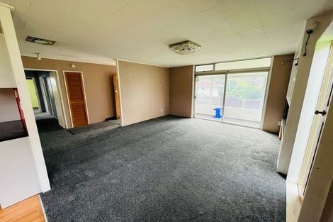 Photo of property in 347 Roscommon Road, Clendon Park, Auckland, 2103