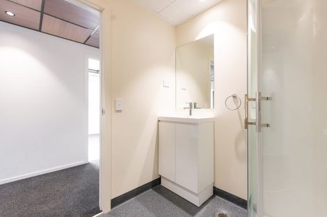 Photo of property in Te Kainga Te Aka, 203 Willis Street, Te Aro, Wellington, 6011