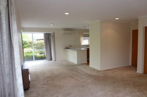 Photo of property in 46b Church Street, Awapuni, Palmerston North, 4412
