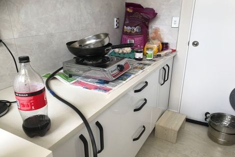 Photo of property in 21 Hakinakina Drive, Flat Bush, Auckland, 2019
