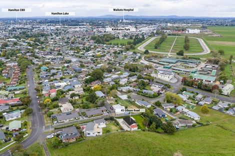 Photo of property in 45 Gibson Road, Dinsdale, Hamilton, 3204