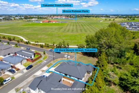 Photo of property in 17 Hard Beech Street, Takanini, 2110