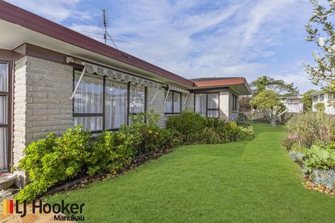 Photo of property in 221b Queen Street, Pukekohe, 2120