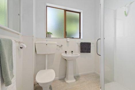 Photo of property in 119 Boundary Road, Claudelands, Hamilton, 3214