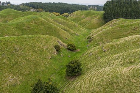 Photo of property in 81 Kaiwaka Road, Tangoio, Napier, 4181