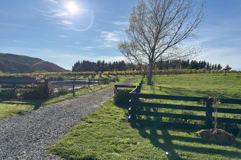 Photo of property in 441 Blind River Road, Blind River, Seddon, 7285