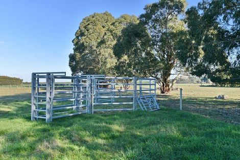Photo of property in 77 Bridge Road, Fernside, Rangiora, 7475