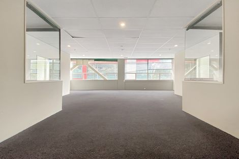 Photo of property in City Lodge Apartments, 204/115u Vivian Street, Te Aro, Wellington, 6011