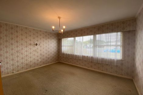 Photo of property in 29 Rimu Street, Maeroa, Hamilton, 3200