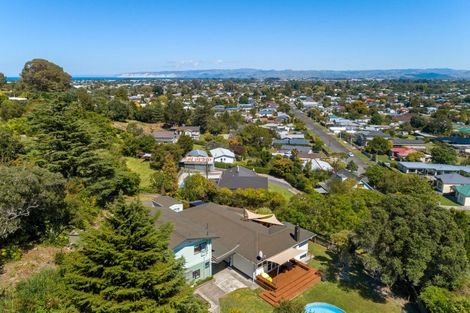 Photo of property in 53 Winter Street, Mangapapa, Gisborne, 4010