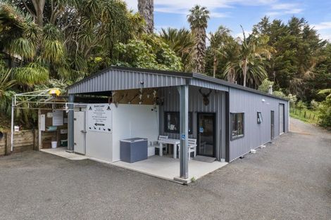 Photo of property in 38 Grammer Road, Tahawai, Katikati, 3170